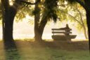 challenges of grief in later life