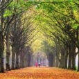 Seniors surrendering to the seasons of change